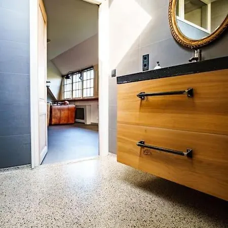 Daire Loft In Romantische Stolpboerderij Bij Duingebied. *